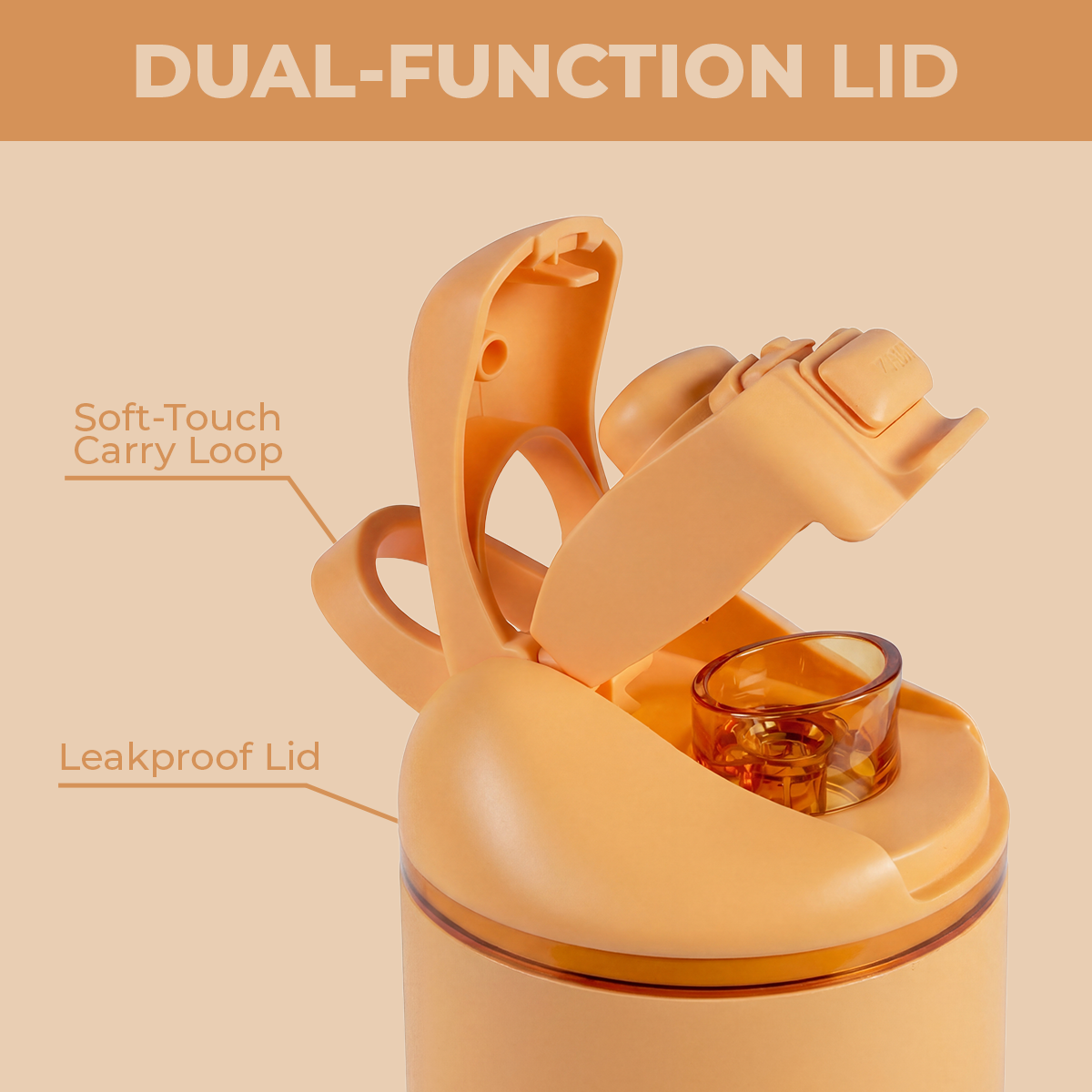 marigold-n2 Ease24-Marigold-WPI-6.png