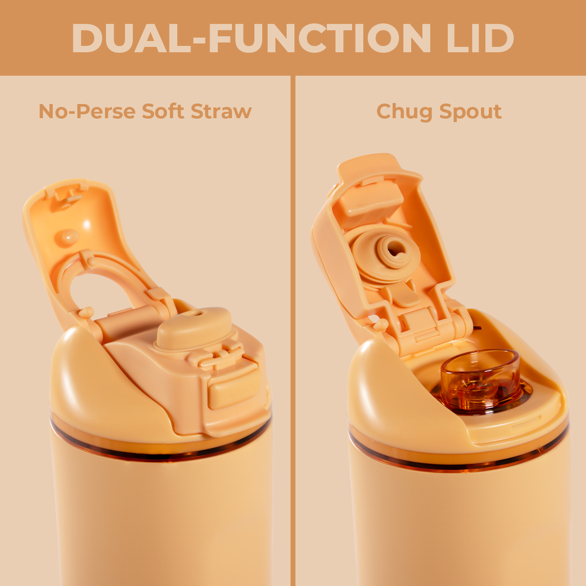 marigold-n2 Ease24-Marigold-WPI-5.png