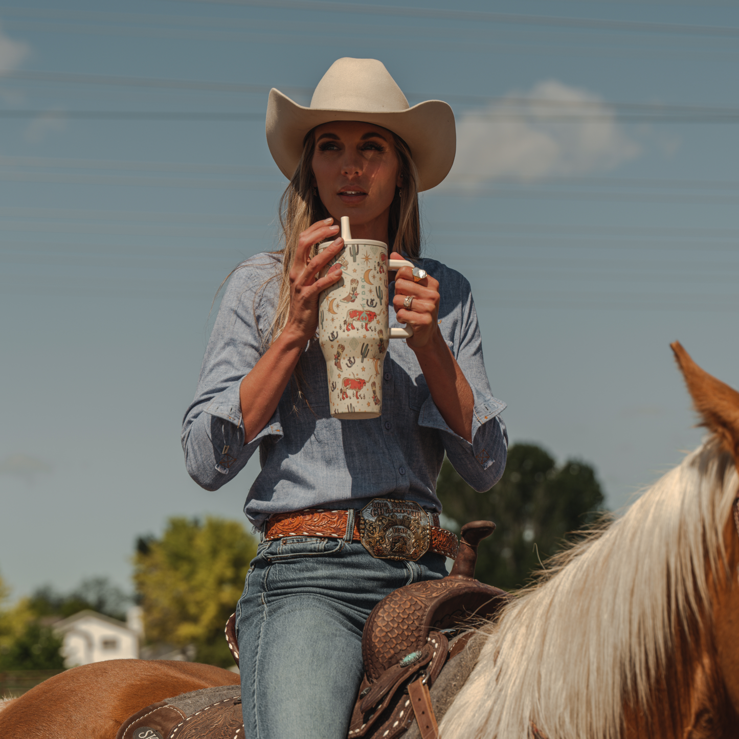 rodeo-l2 TRVL-Rodeo-6WPI.png